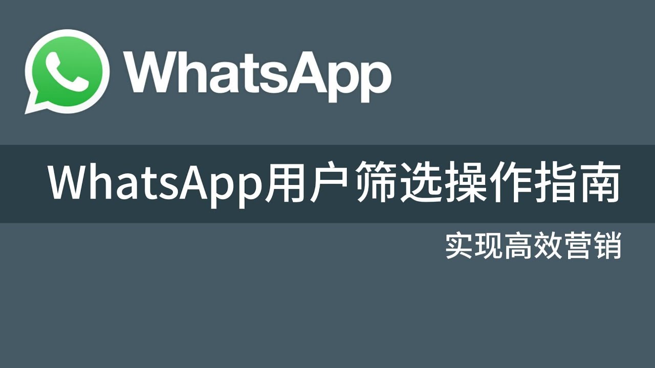 实现高效营销：WhatsApp用户筛选操作指南#whatsapp #WhatsApp用户筛选 #WhatsApp高效营销#WhatsApp操作教程#whatsapp高级筛选器#whatsapp号码过滤器- YouTube