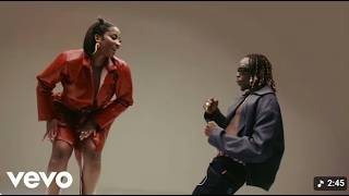 Tems ft Fireboy DML- Quite love(Official Audio music mp4)