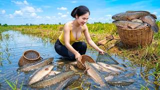 Catching Giant Snakehead Fish Stranded | Huge Harvest and Selling Fish to the Local Village Market