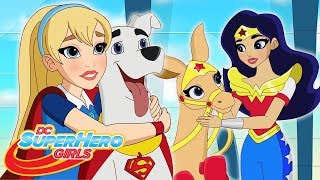 Псу под хвост Часть 1 & 2 | Любимые питомцы Часть 1 & 2 | DC Super Hero Girls Россия