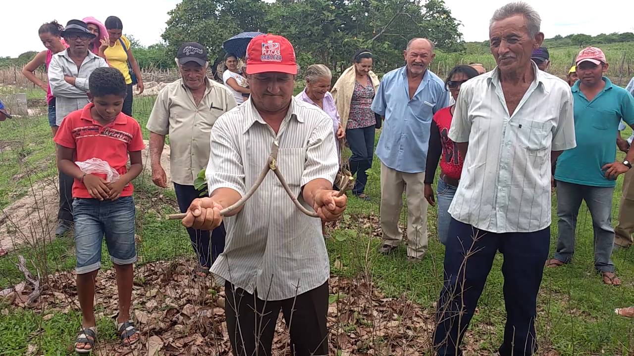 Conhecimento popular: a busca pela água