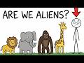 ماذا لو كنا نحن الكائنات الفضائية