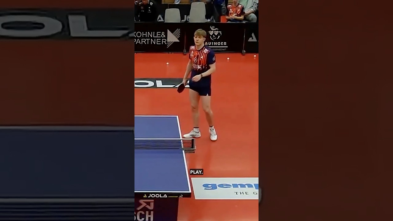 Ping Pong Mayhem