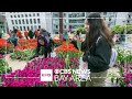 Tulip Day in S.F. fills Union Square with vibrant color