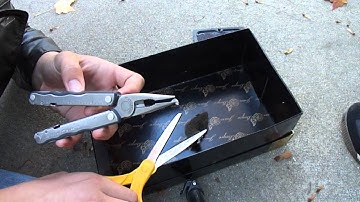 Removing a mouse from a glue trap