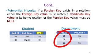 Understanding Relational Integrity: Entity, Domain, Referential, & Enterprise Integrity in Databases