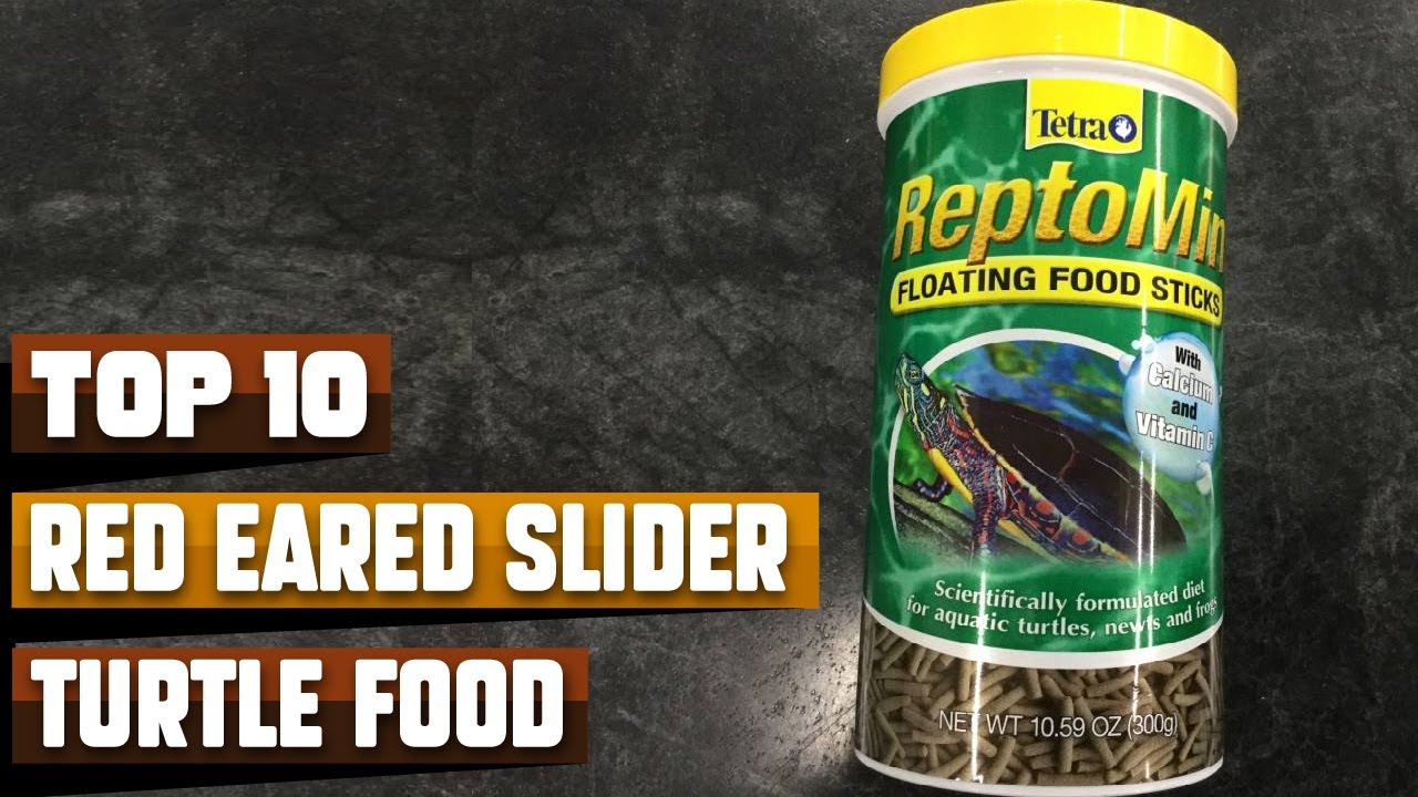 Best Turtle Food For Red Eared Slider In 2024 Top 10 Turtle Food For
