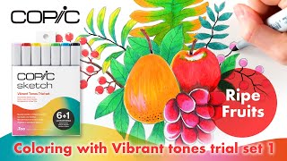 Copic Sketch 6+1 Limited Edition - COPIC Official Website