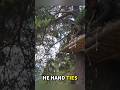 Building a Giant Bird's Nest Treehouse to Survive a Storm!