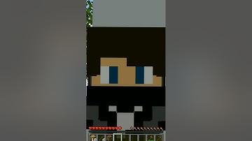 Minecraft, But If I Take DAMAGE Game Ask Me A QUESTIONS...... | #shorts #niowiz |