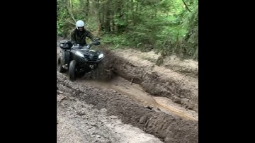Quad Adventures: Mud-Filled Forest Excursions! #4x4 #quad #offroad #adventure #mud #forest