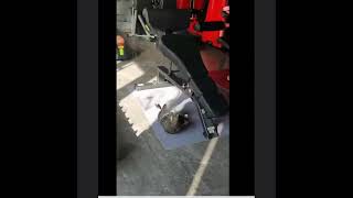 Kedilerin Fitness Günü Mekik Çeken Komik Kedi