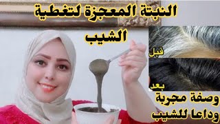 عشبة ربانية تطول الشعرللركبة وتقضي على الشيب كليا 4kولو كان الشعر كله أبيض والنتيجة من أول إستعمال