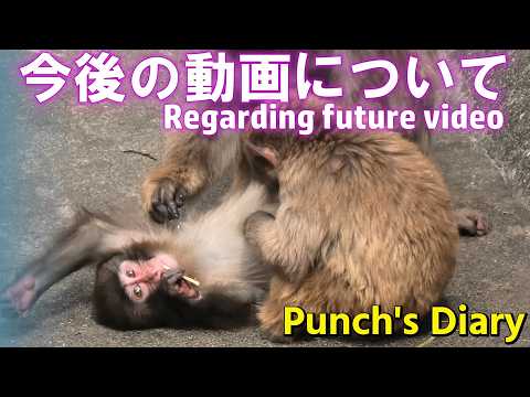 Punch's Diary] April 27, 2026. The zoo is closed today, so please