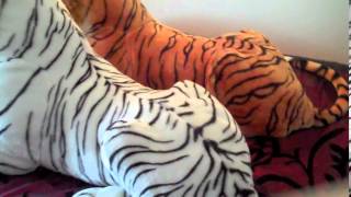 Melissa & Doug Plush Tiger Review