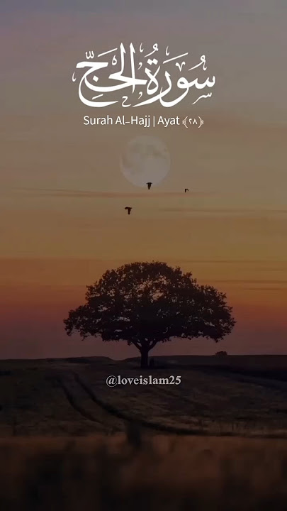 Surah Al-Hajj Ayat 28-29-30 | #quran #arabic #fyp #fypシ゚viral #shorts #unfrezzmyaccount
