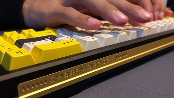 Space65: CyberVoyager with lubed Drop R1 Holy Pandas - typing test.