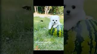 Vccv હડહ Fch X Fftujhhhhhhhhhhhhbhyrffggghhh