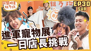 [SUB] EP30 進軍寵物展！ Sandy 呵喜 一日店長挑戰 不可能的任務！ 風田: 買周邊送親密接觸 【 萌寵明星粗乃玩 】@haveapetday