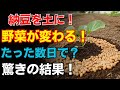 【知らなきゃ損】納豆を混ぜた土が植物を元気にする自然の力とは？
