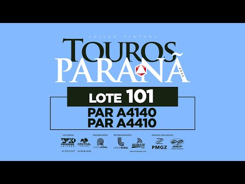 LOTE 101 PAR A4140 PAR A4410