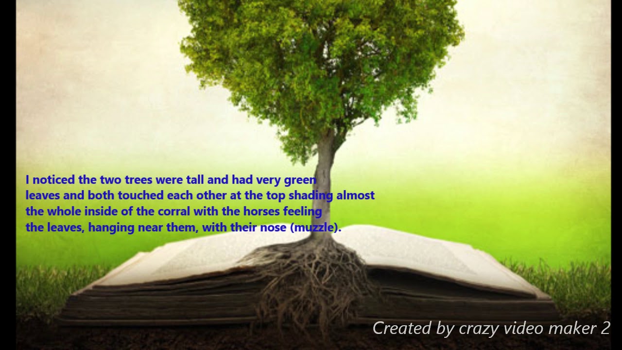 Dreams/Visions Two Tree Stumps Biblical Symbolism YouTube