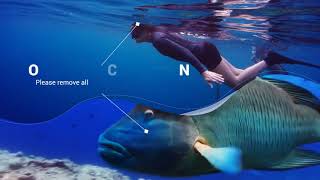 Scuba Diving Promotion Slideshow | After Effects Project Files - Videohive template