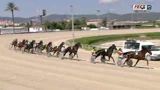 Vidéo de la course PMU PREMI DIANA