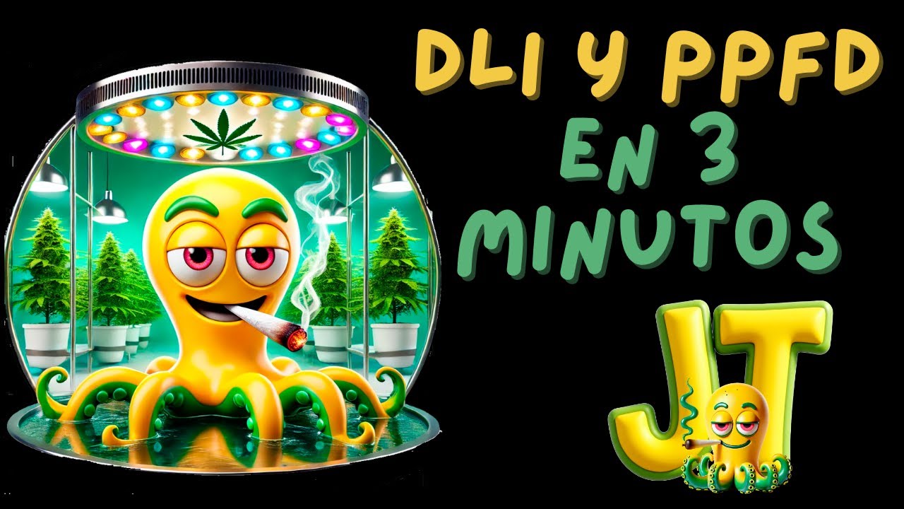 💡DLI y PPFD en 3 Minutos 🚨 LOS SECRETOS DEL DR. BUGBEE EN ESPAÑOL