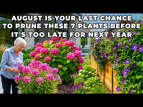 August Is Your Last Chance To Prune These 7 Plants Before It's Too Late For Next YeaR