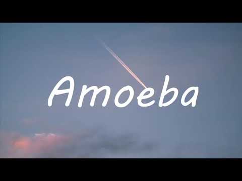 Clairo - Amoeba (Lyrics)