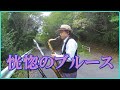 テナーサックスで「恍惚のブルース」 #青江三奈