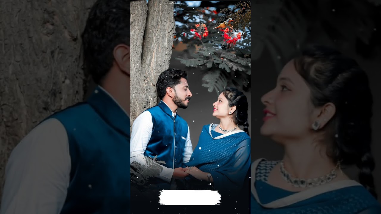 Aam ge khojar meya nowa mone//Santali status video//SB Status