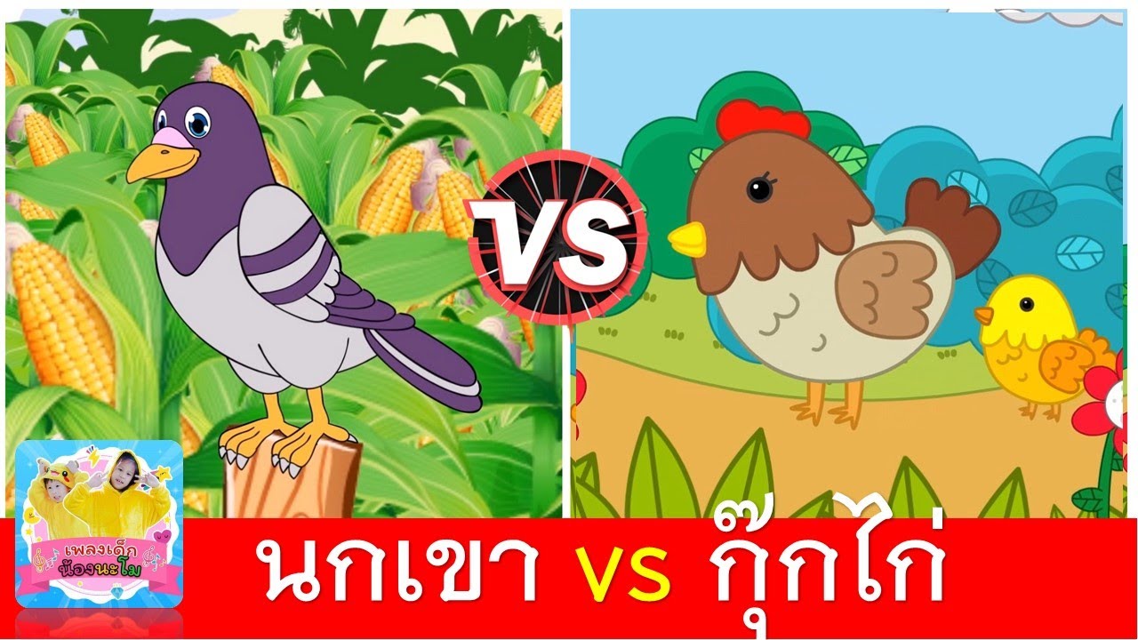 นกเขา vs กุ๊กไก่ | เพลงเด็ก | นกเขาบินข้ามเขา | ไก่กุ๊กกุ๊กไก่