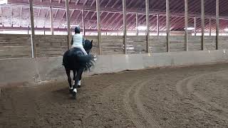 2023 USEF Training Level Test 3