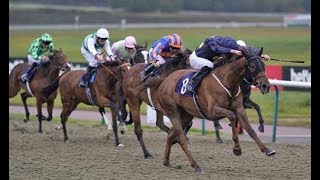 Horse racing tips TODAY Horses you MUST back at Wolverhampton, Musselburgh and Lingfield