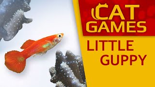 Games for cats - Little guppy (Video for cats to watch) 3 Hours