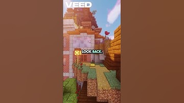 My Twin in the Mirror