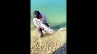 Adam Dev Gibi Balık Tuttu