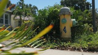 How a firefighter's accident revealed rusty hydrants in St. Pete