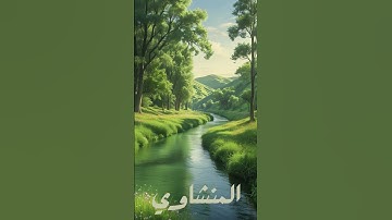 سورة النور | المنشاوي #المنشاوي #قران#القران_الكريم#quran#سورة_النور #محمد_صديق_المنشاوي