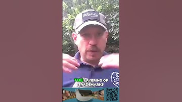 Protect Your Ideas BUT Understand the System