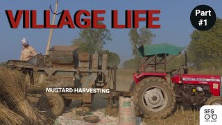 Part 1 Village Life Harvesting Of Mustard Seeds