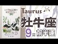 【牡牛座♉️】2022年9月前半運勢✨ずっと動かなかった事がやっと動き出していきそう😊🌈🙌とても重要なターニングポイント✨現実的な部分が向上変化していく兆し☺️指針はハッキリしてなくても行動を