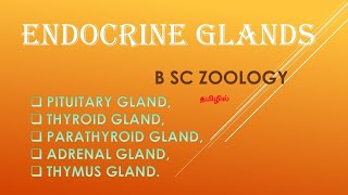 Endocrine glands in tamil/PITUITARY GLAND,THYROID GLAND,PARATHYROID GLAND,ADRENAL GLAND,THYMUS GLAND