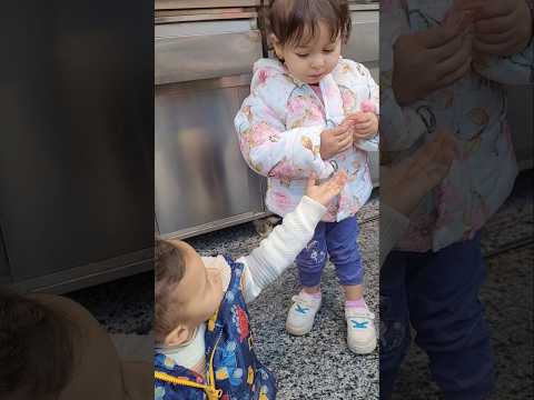 يوسف رمي الكندي في الارض  هتضحك   رشدي كوميديات   اكسبلور