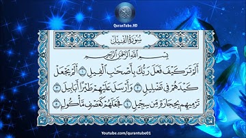 ناصر القطامي | 105 : سورة الفيل | حفص عن عاصم