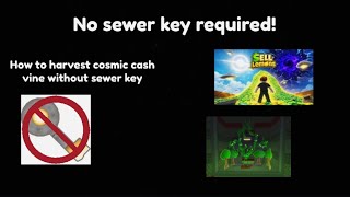 how to harvest the cosmic cash vine in sell lemons! (no sewer key or robux required!)