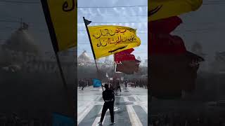 Dolet e karbla stutas #yaali #hazrataliakbarkishahadat