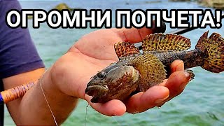 видео: МОРСКИ РИБОЛОВ НА ЕДРИ КАМЕННИ ПОПЧЕТА, СКАРИДИ, МОРСКО КУЧЕ, РАЦИ И РАПАНИ! НЕЗАБРАВИМО ПРЕЖИВЯВАНЕ картинка: МОРСКИ РИБОЛОВ НА ЕДРИ КАМЕННИ ПОПЧЕТА, СКАРИДИ, МОРСКО КУЧЕ, РАЦИ И РАПАНИ! НЕЗАБРАВИМО ПРЕЖИВЯВАНЕ